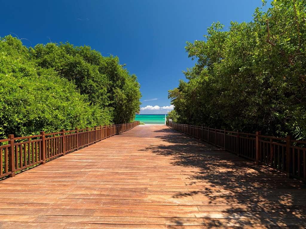 The Reserve Paradisus Playa Del Carmen (Adults Only) Natura foto
