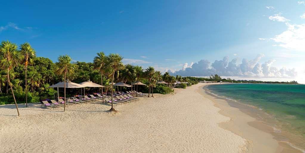 The Reserve Paradisus Playa Del Carmen (Adults Only) Natura foto